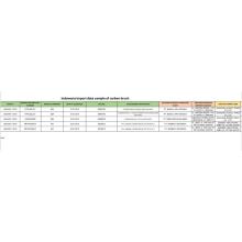 Indonesia Import Data Sample Carbon Pensel