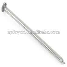 Polished common nail / common round wire nail