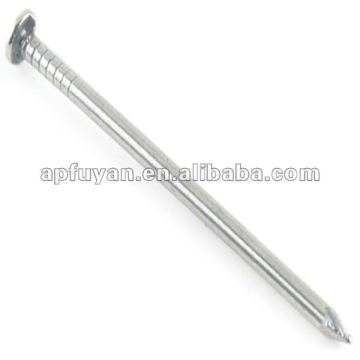 Polished common nail / common round wire nail