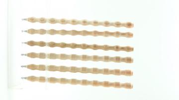 Patented HB pencil for office and school