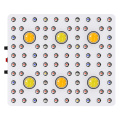 600W Cob Led Grow Light Panel Lamp regolabile