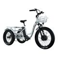 2022 electric bikes three wheel Enclosed Electric Tricycle for Adults