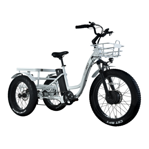 2022 Electric Cargo bikes Enclosed Electric Tricycle for Adults