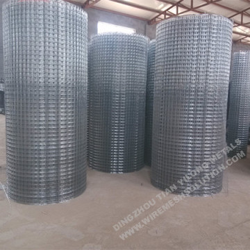 2'' x 2'' Galvanized Welded Wire Mesh