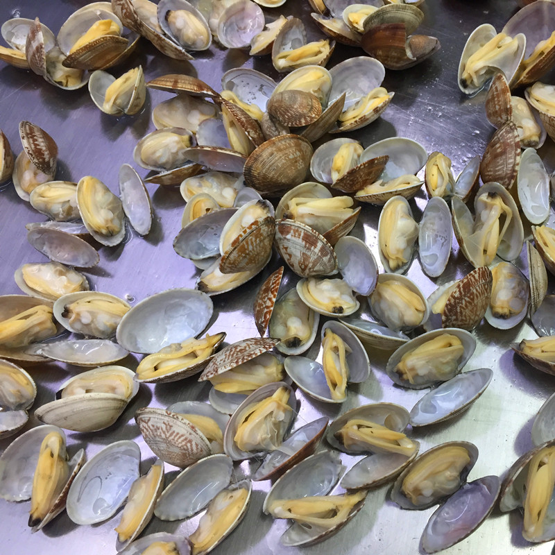 2021 new season short necked clam in shell