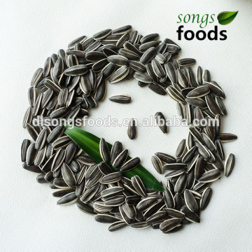 Sunflower Seed Wholesale Chia Seed