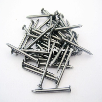 Common nails(Hebei manufactuer producer)