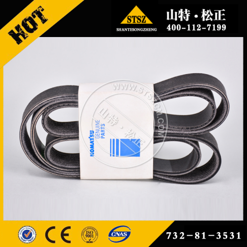 BELT 732-81-3531