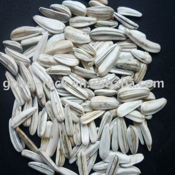 Raw sunflower seeds