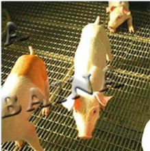 crimped wire mesh for pig raising