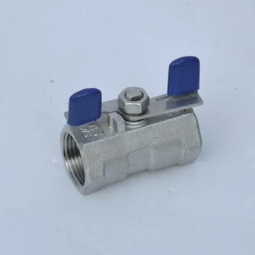 Thép không gỉ nữ 1pc Valve