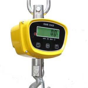 YB-GGE Direct Viewing Crane Scale