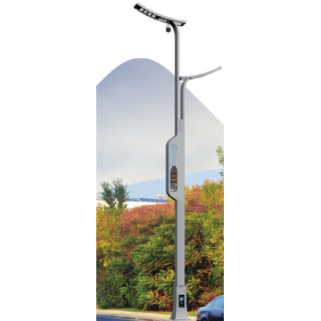 Smart Outdoor Integrated All-in-One Light