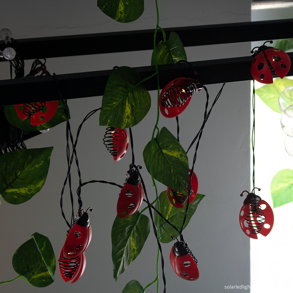 Ladybug Solar Fairy Lights