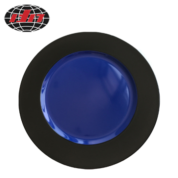 Black and Blue Plastic Plate