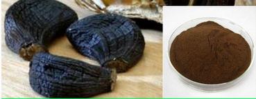 black garlic (86)