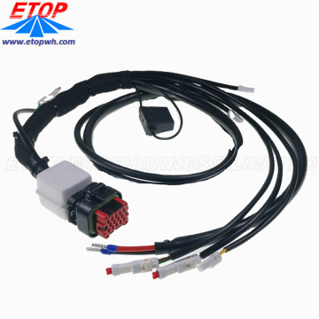 UL Automotive Waterproof Cable Harness Assembly