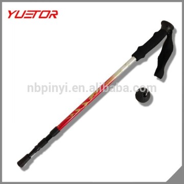 alpenstock ski pole