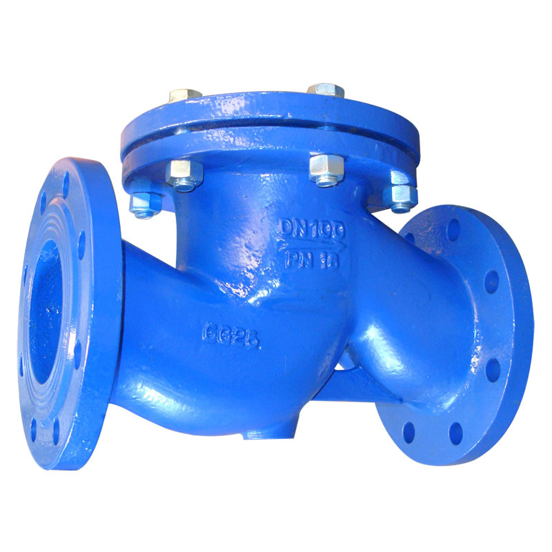 Double flange ductile iron lift check valve