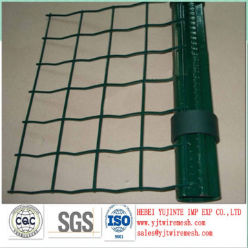 PVC EURO FENCE/ WIRE MESH FENCING