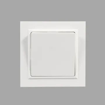 White 10A Single-Button Switch with Frame