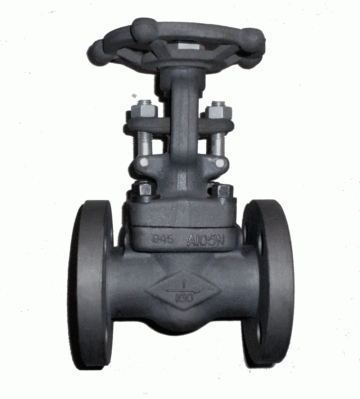 API 602 Forged Steel Gate Valve