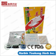 Bamboo Vinegar Detox Patch with Ginger