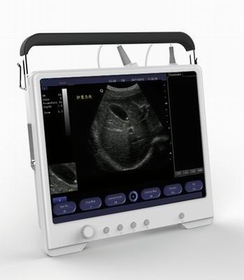 Tragbarer Ultraschall-Scanner-Digital-Ultraschallgerät-Preis
