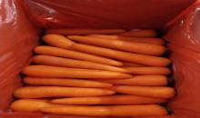 fresh vegetables fresh carrot