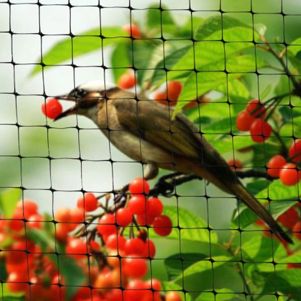 plastic square mesh anti bird