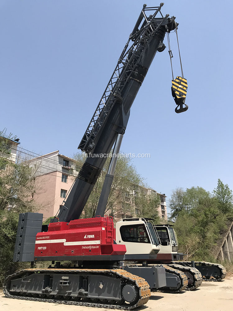 Grue sur chenilles télescopique sur chenilles en vente