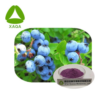 Blueberry Extract Anthocyanin 25% Pulver CAS 528-58-5