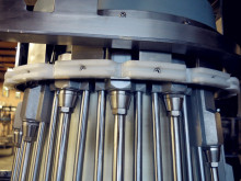 automatic online bird Cropper