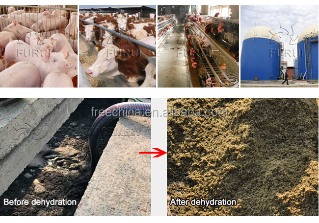 Energy saving manure solid liquid separator/cow dung manure dewater machine