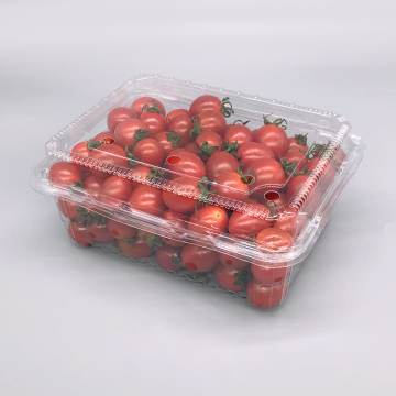 Eco-Friendly Plastic Food Packing Boxes