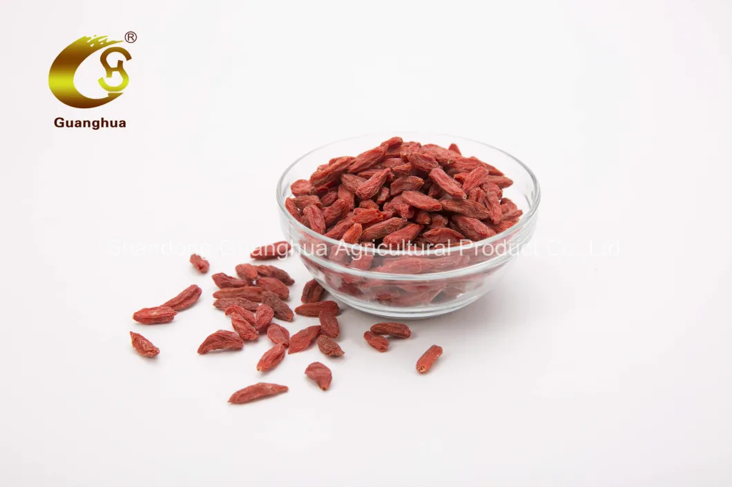 Perfect Hot Sale Dried Goji Berry From China