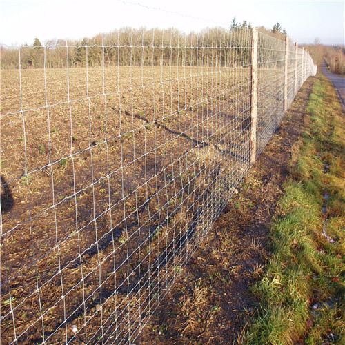 field fence 