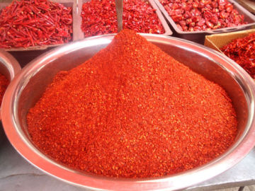 New crop dried red chilli powder