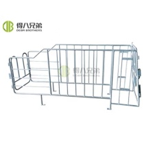 High-Quality Low-Price Pig Sty Farming: Sows Using Gestation Crates