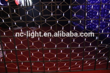 christmas led net light