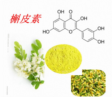 High qaulity Sophora Japonica extract / Sophora Japonica extract / Rutin 98%