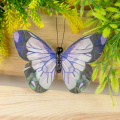 Butterfly craft spring