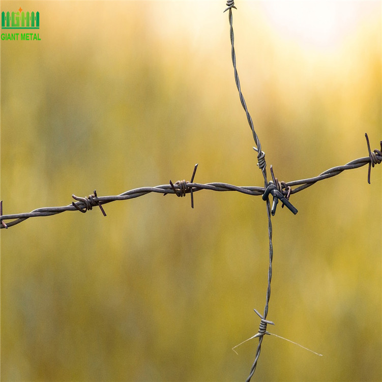 PVC Coated Barbed Wire Stainless Steel Barbed Wire
