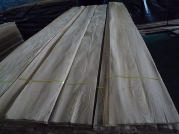 yellow Elm veneer