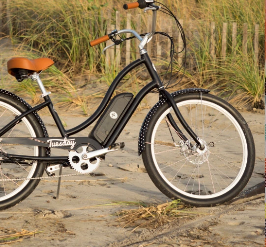 OEM City Adult Electrical Bicycle with 13ah LG/Samsung Cells