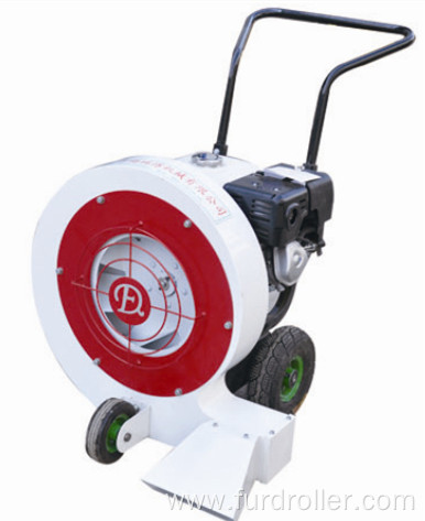 Portable gasoline engine crack road cleaning machine cement pavement blower with cheap price FCF-450