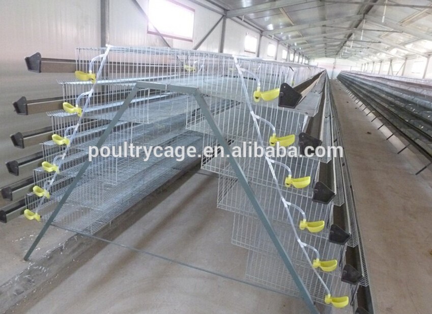 quali cage / H type quali cage/ A type quali cage