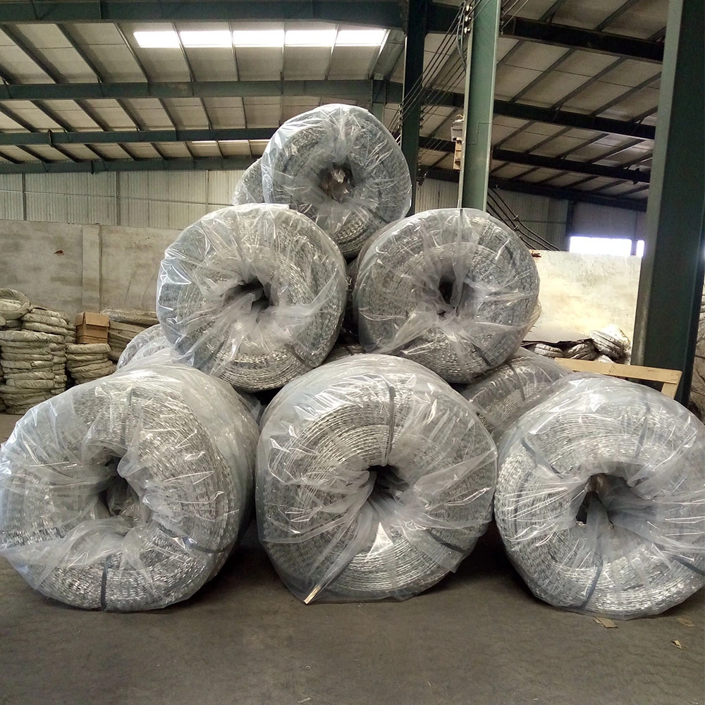 Top Quality Razor Wire Razor Ribbon Wire Fence