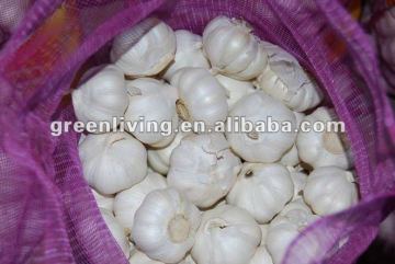 2012 shandong garlic price in June