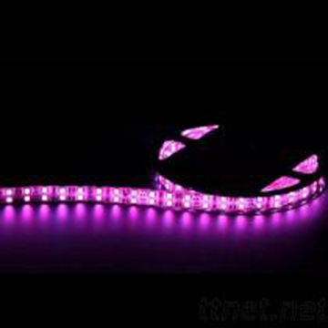 led soft strip light flexiable light IP 67